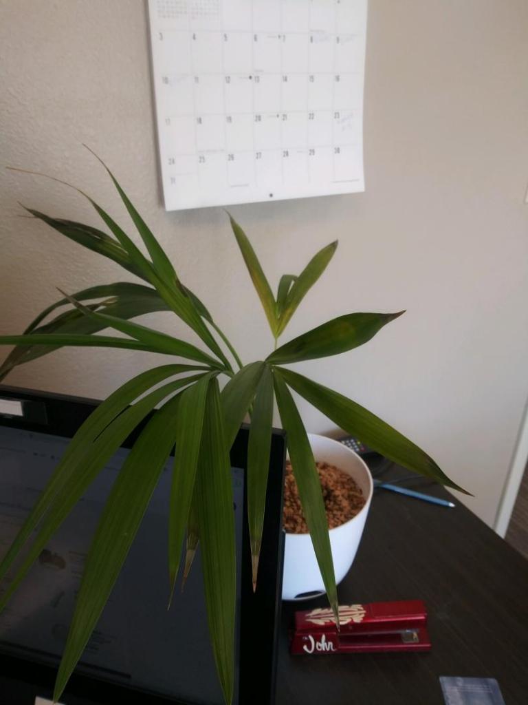 Message_1610648539343.jpg