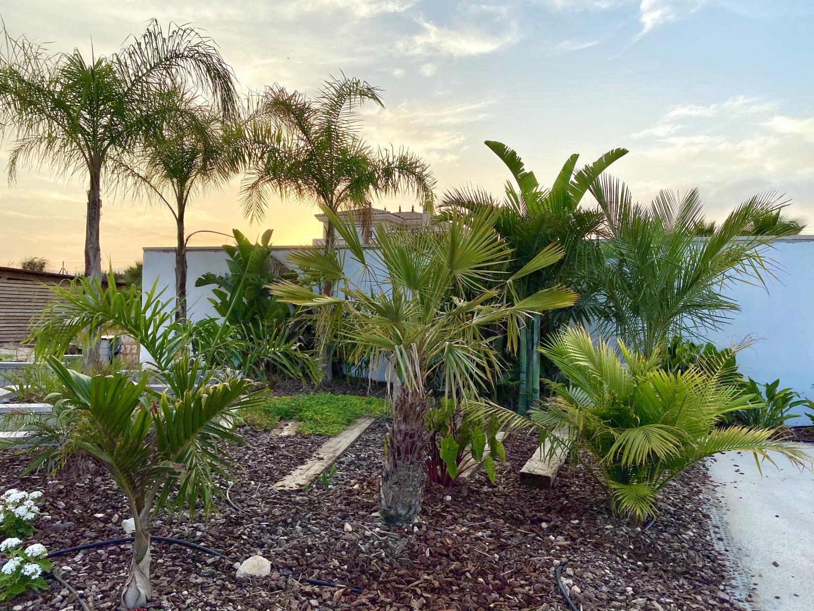 Tropical garden Alicante, Spain