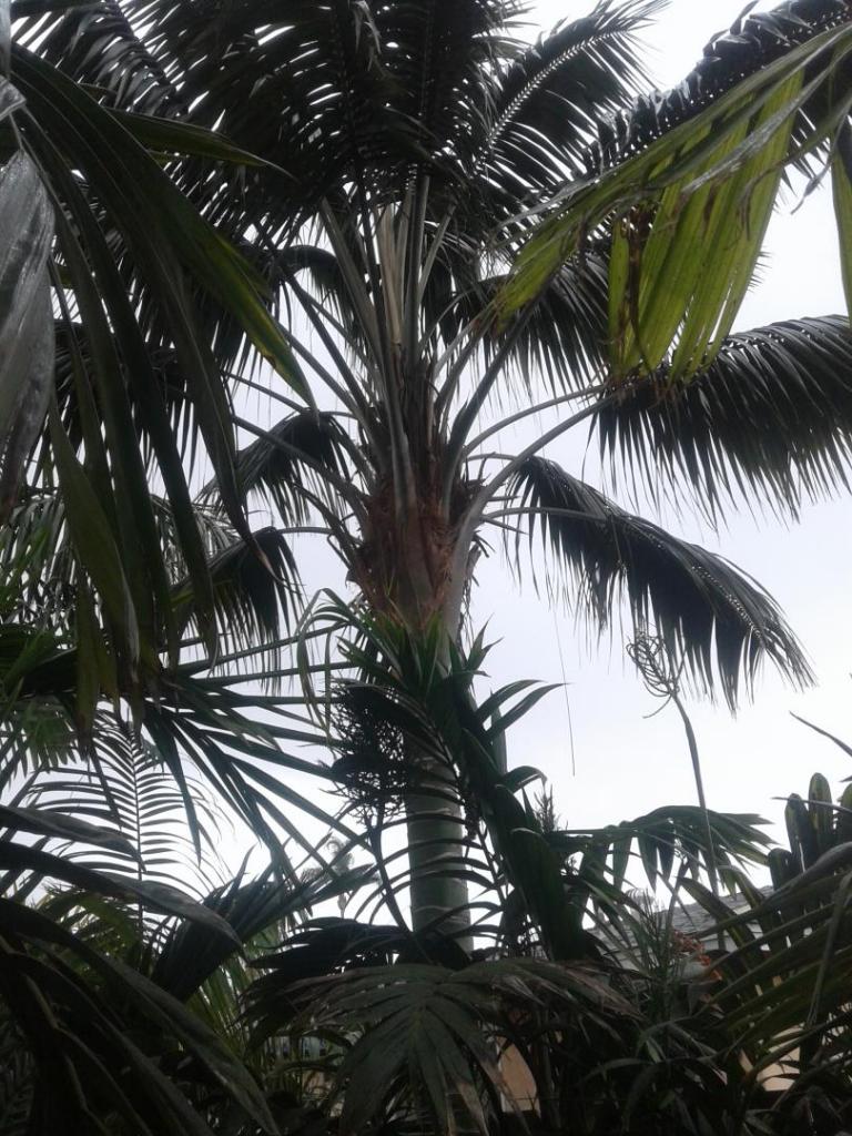 20210323_091023.jpg