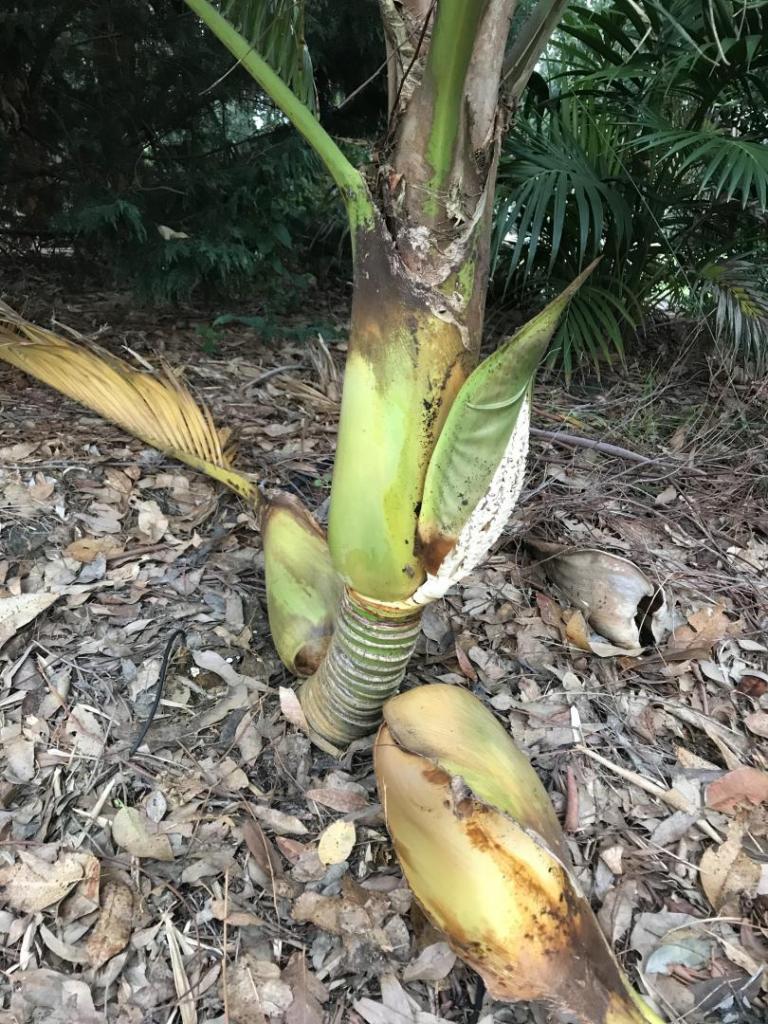 230EAB53-6CF1-4310-ABE9-F99D0F79E7E8.jpeg