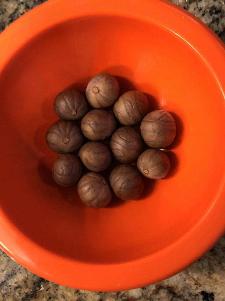 672965007_Gaussiagomez-pompaeseeds0105-04-21.thumb.JPG.fc632e7e250eeb297534b33100692240.JPG