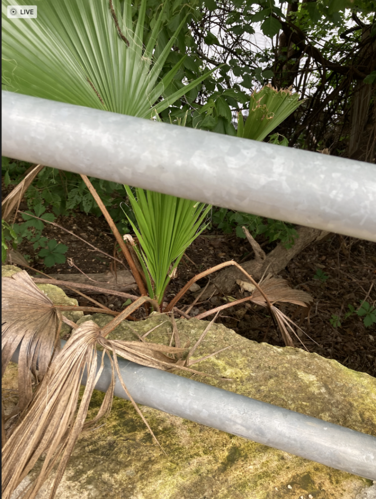 Screen Shot 2021-06-07 at 4.38.58 PM.png