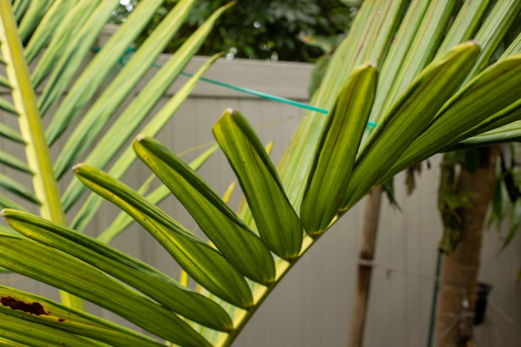 20210629-BH3I4535.jpg