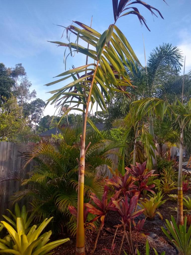 IMG_20210604_082425474_HDR.jpg
