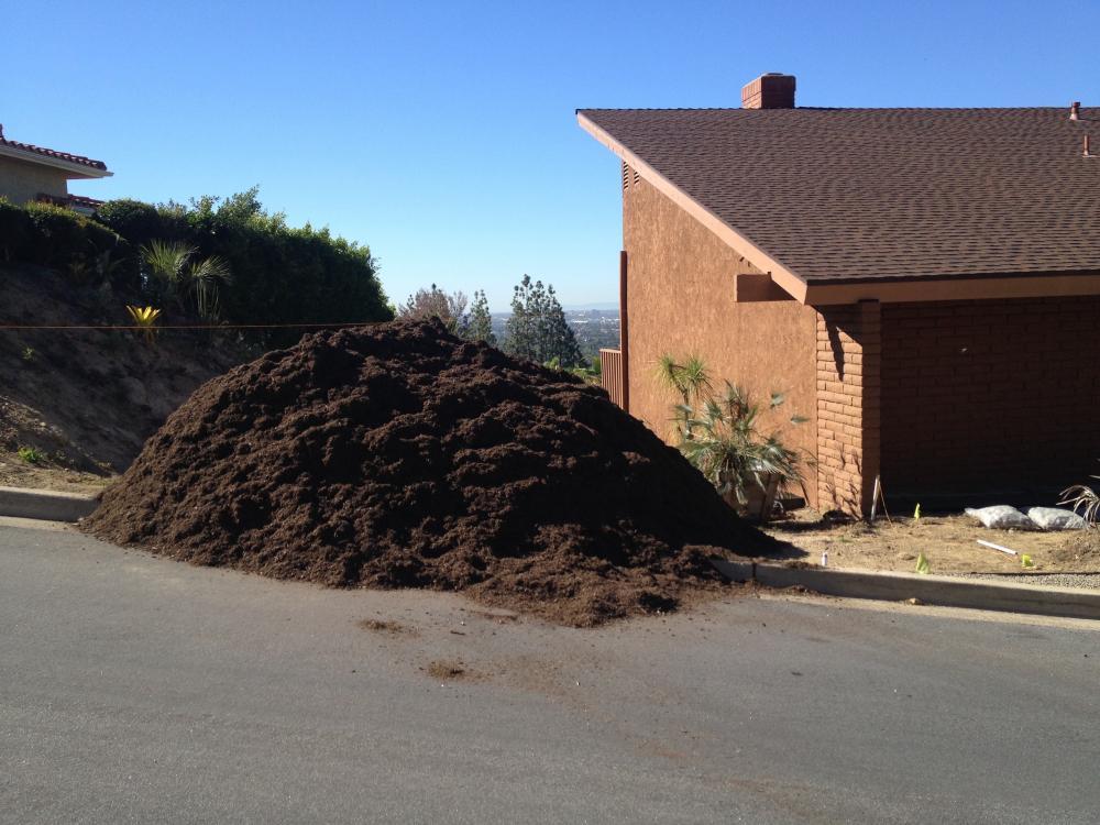 Mulch.thumb.jpg.250e55c515b0a913ba92baf1fc6972ff.jpg.96d0ac2c395909f81b55c07a6c002e82.jpg