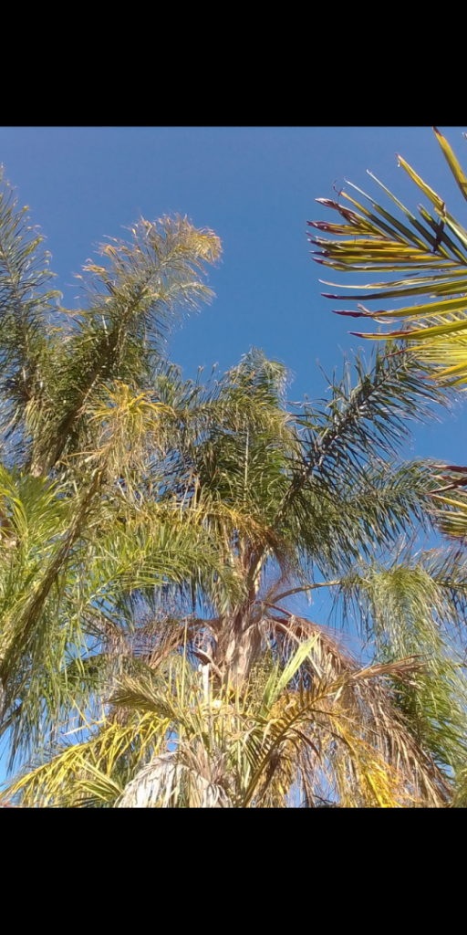 Screenshot_20210612-104709.png