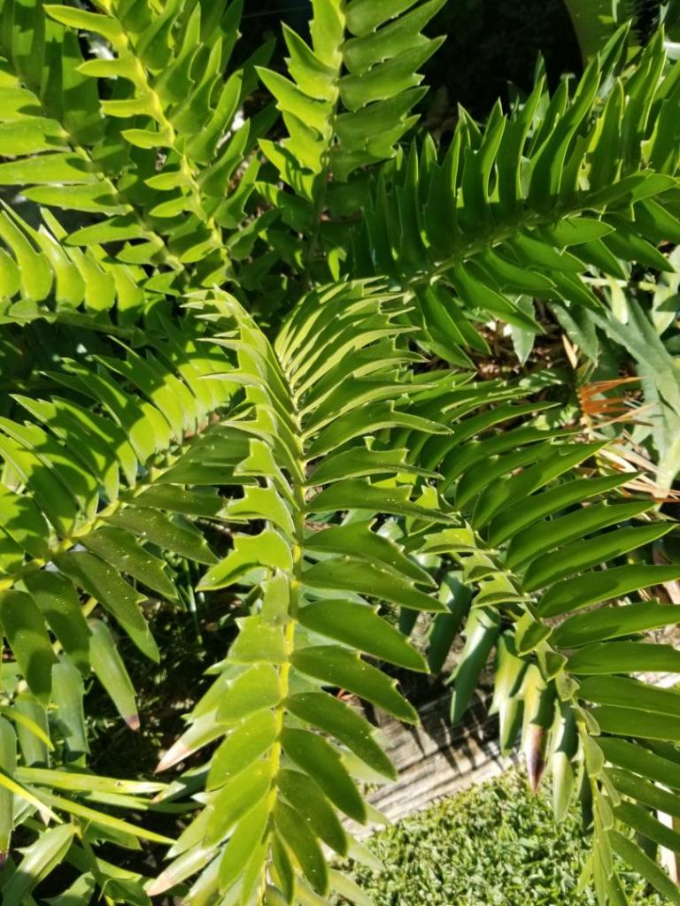 20210710_084957.jpg