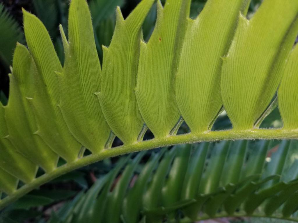 20210712_161407.jpg