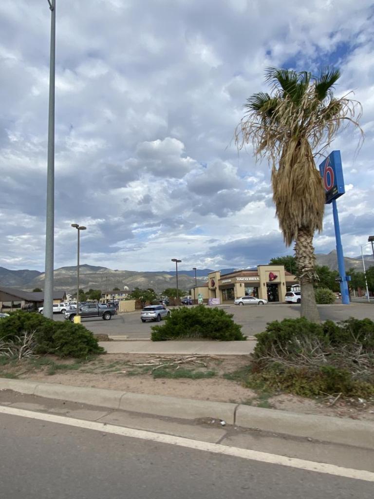 5599CAD0-539B-4051-B09D-802725F333AD.jpeg
