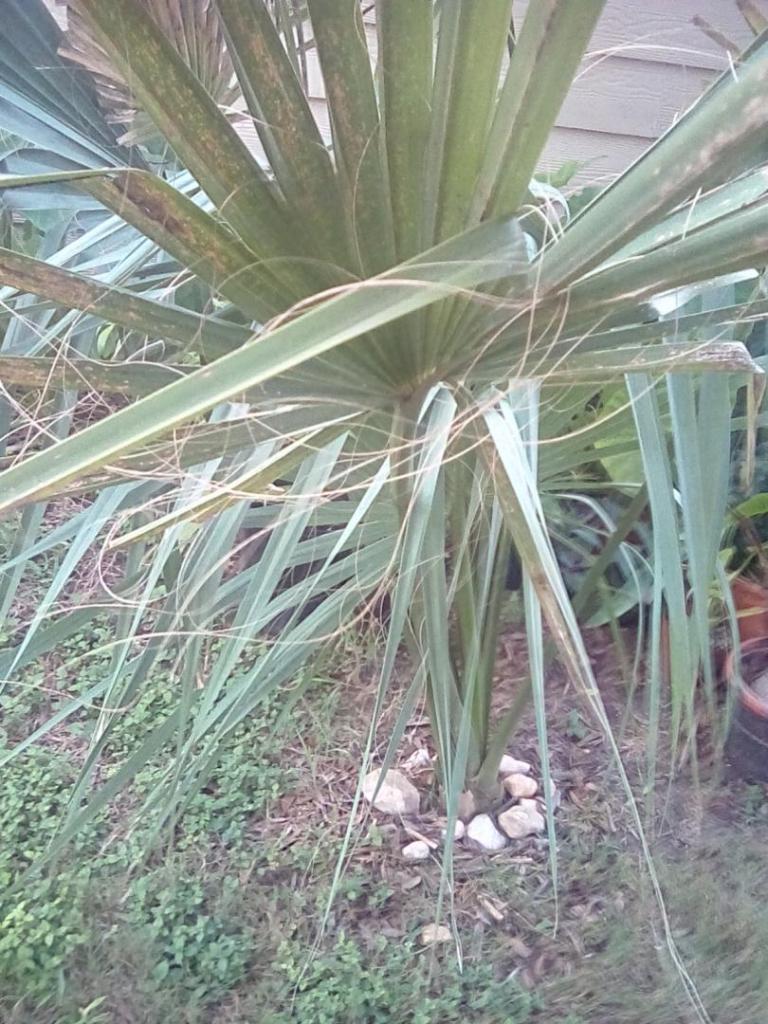 IMG_20210712_194820_hdr.jpg
