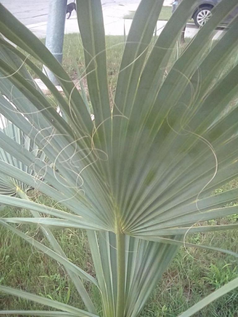 IMG_20210712_194850_hdr.jpg