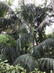0E08073B-7115-4B62-B006-E18B5AF15642.jpeg