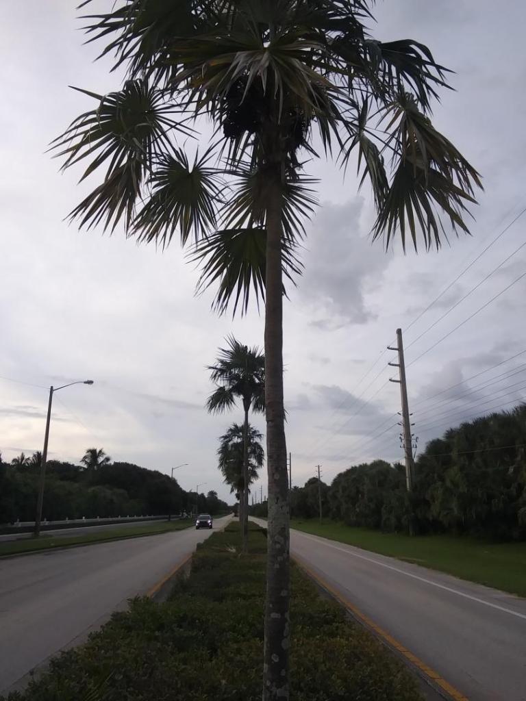 20210816_191127_HDR.jpg