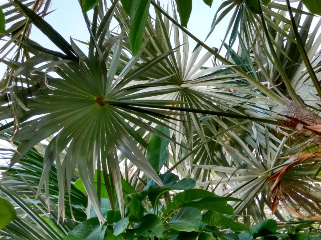 IMG_20210829_175126773_HDR.jpg