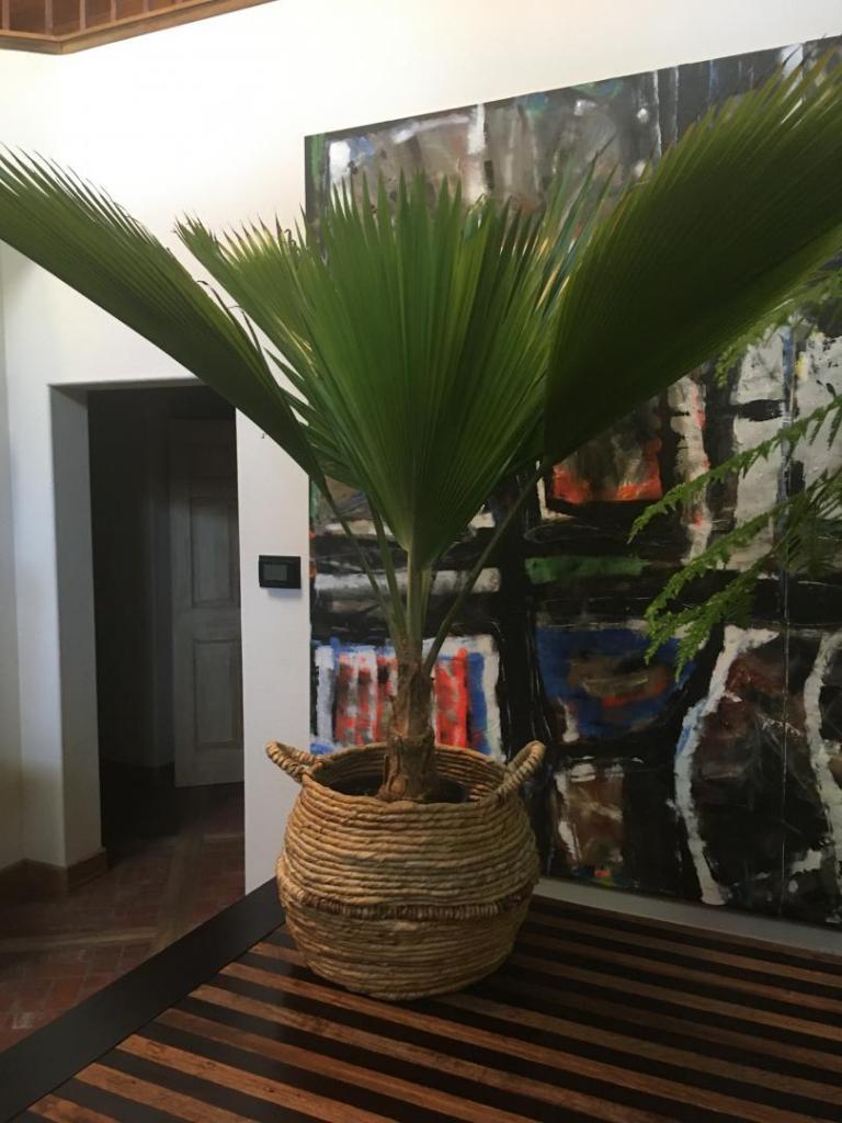 image.thumb.jpeg.d71b80bb9d0f0a6a561b01211a59111a.jpeg