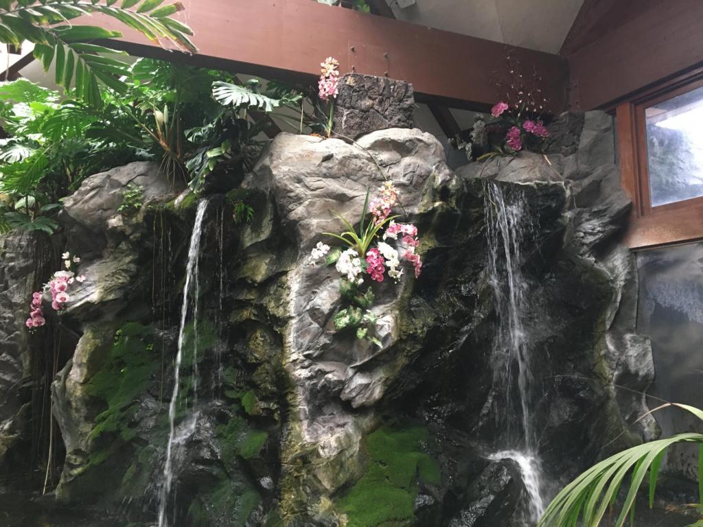 waterfall1.thumb.jpeg.6f470c2a159784a8b85823a55aba9316.jpeg