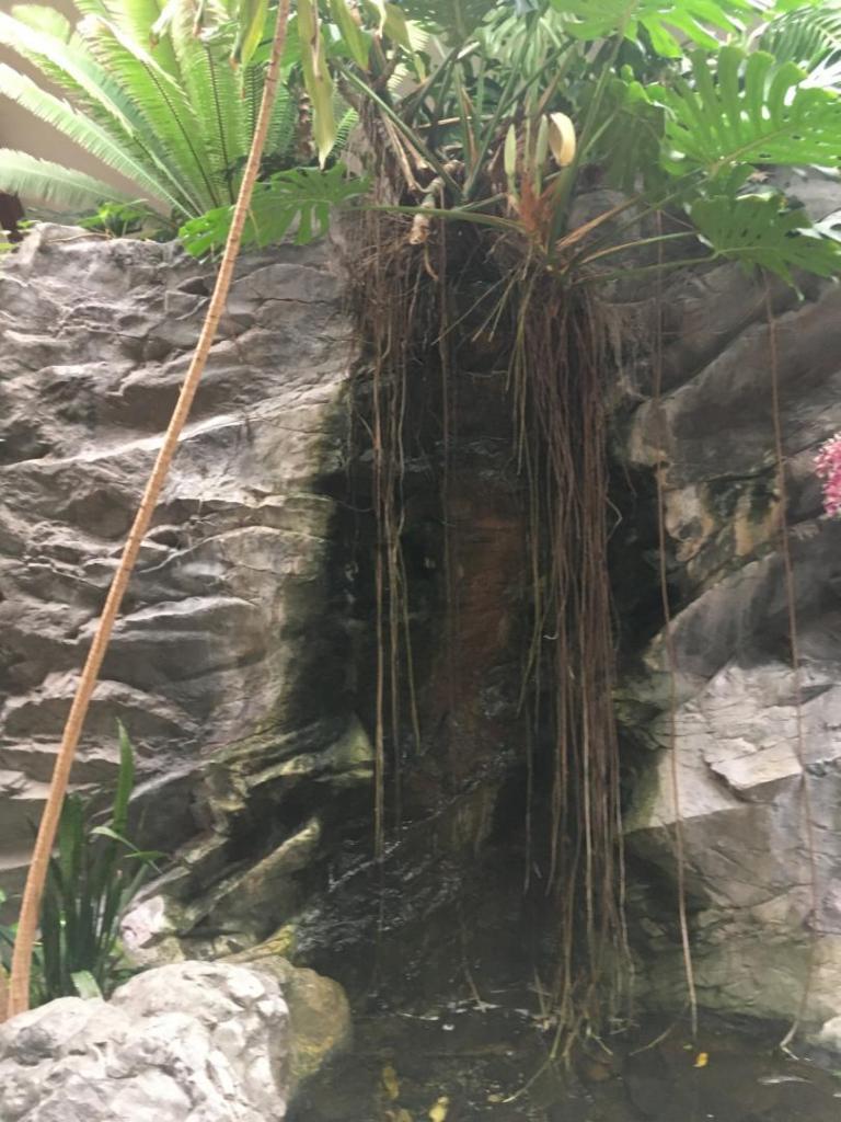 waterfall2.thumb.jpeg.6bfb941e4f5b46102f341daf23e72e6b.jpeg
