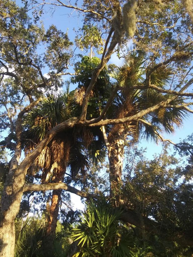 20210927_182252.jpg