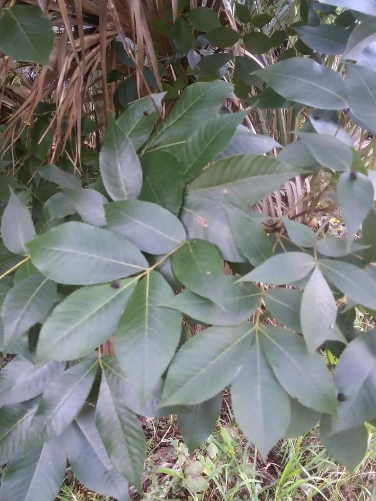 20211012_181139_HDR.jpg