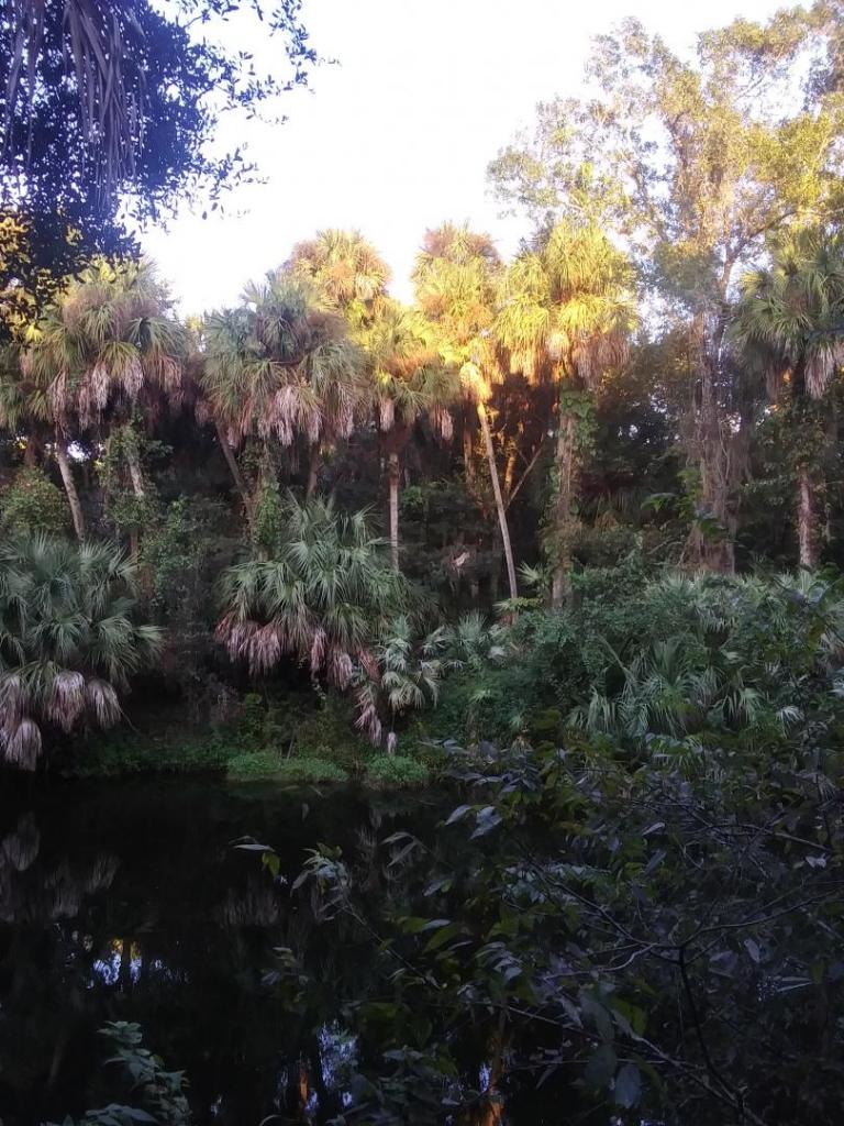 20211012_183138_HDR.jpg