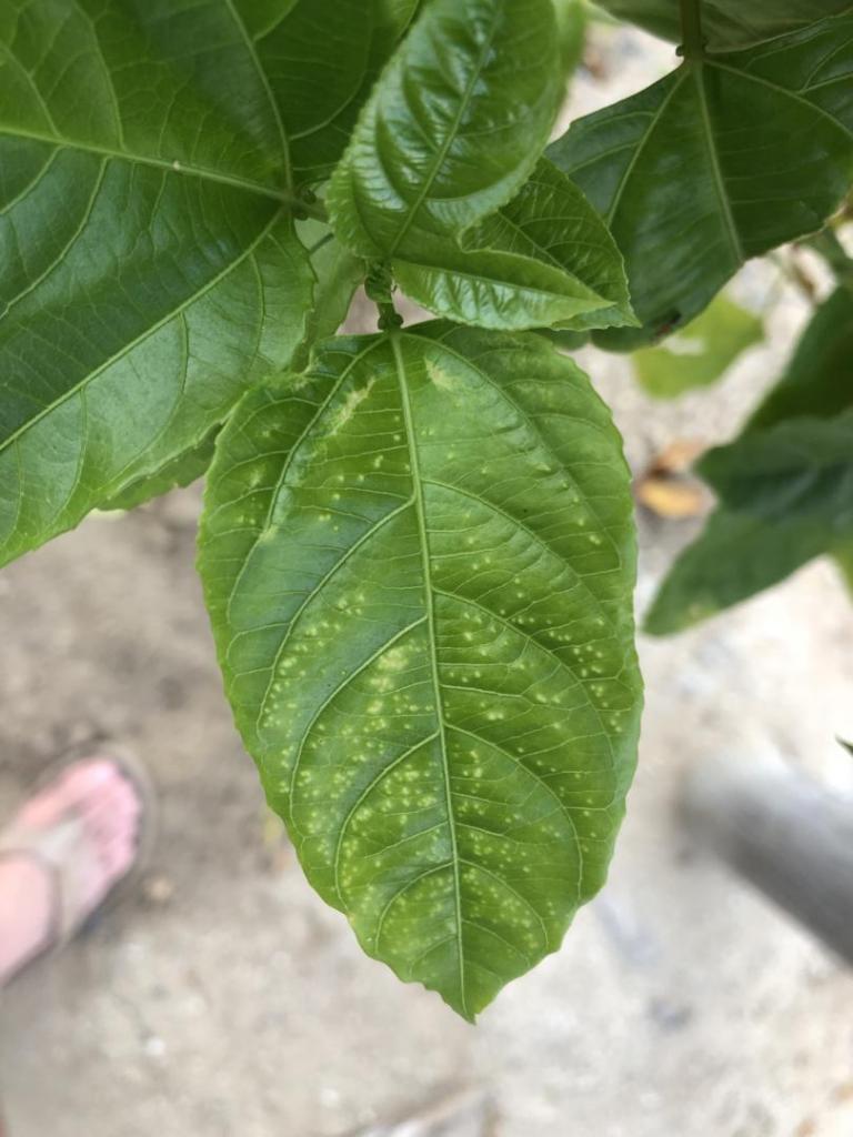 125F0EEF-B6E5-4134-A453-E6A9506B5845.jpeg