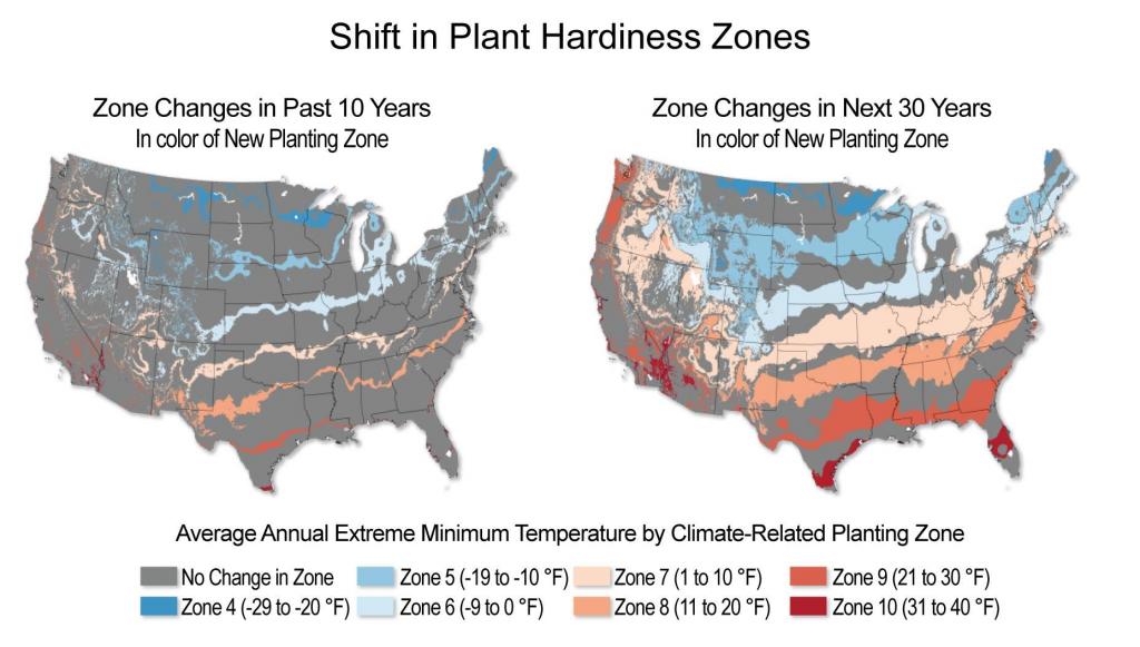 zones plant hardiness 30 years vs last 10 zone 7 doesn't make it.jpg