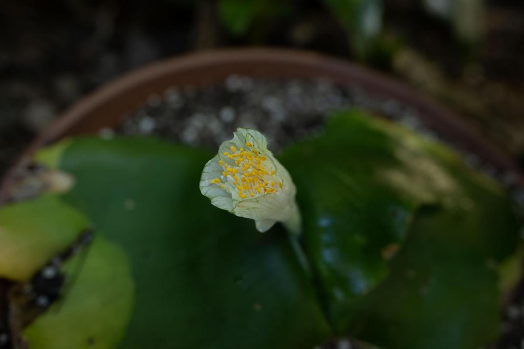 20211217-BH3I6262.jpg