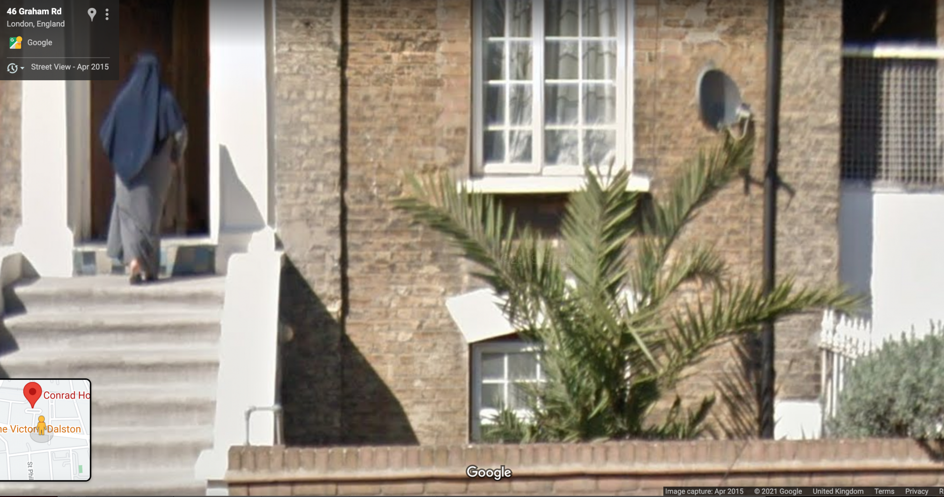 Phoenix Dactylifera growing in London?