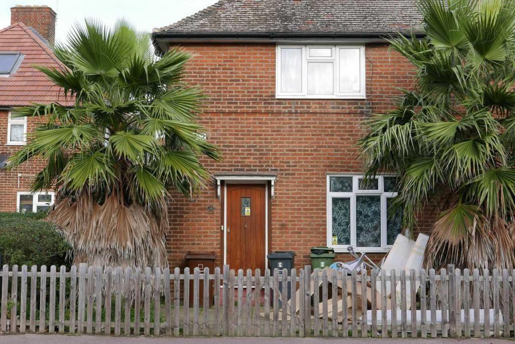 Becontree-Collection-Palm-Trees-18.thumb.jpg.5cf2e4c6b3072e6b28333b595c41e146.jpg.fb926e9d99ec248d87f81a19c868d600.jpg