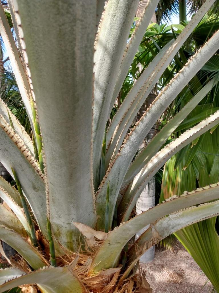 IMG_20211210_123702883_HDR.jpg