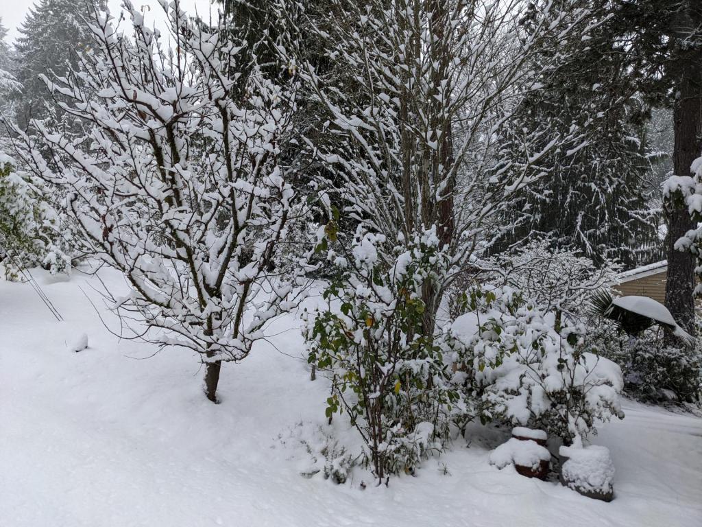PXL_20211226_183718861.jpg