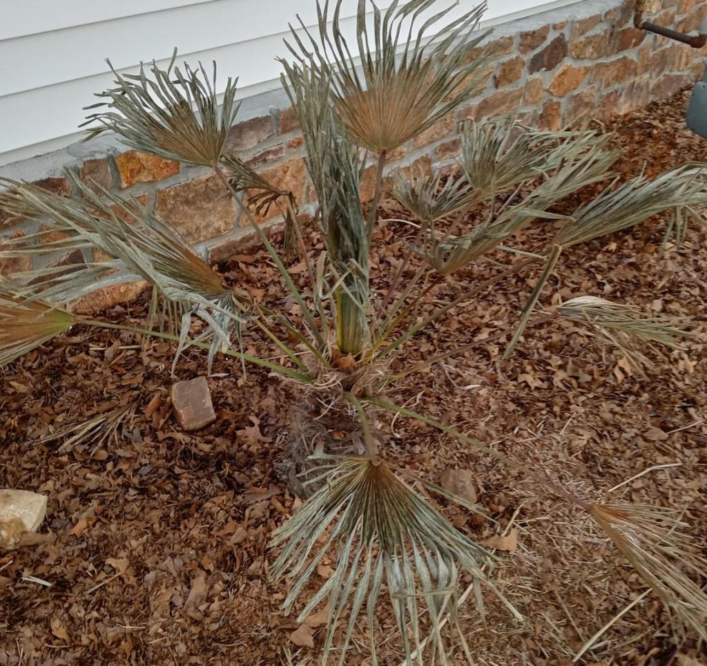 20210223_175515_HDR~2.jpg