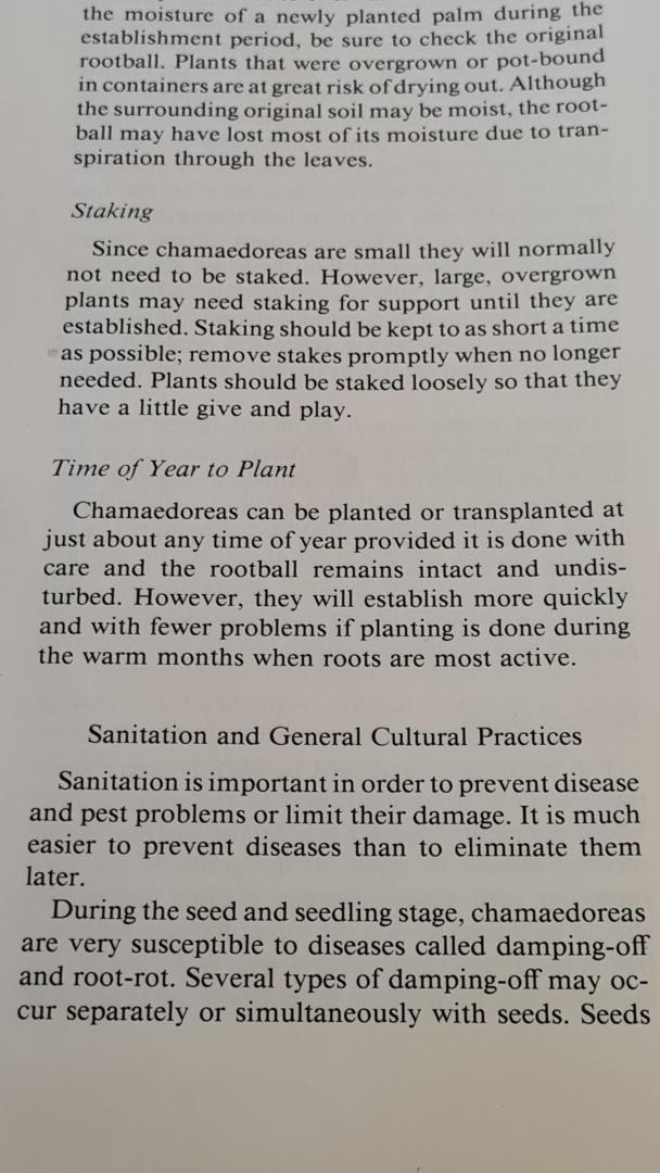 Sabals disease or rot?