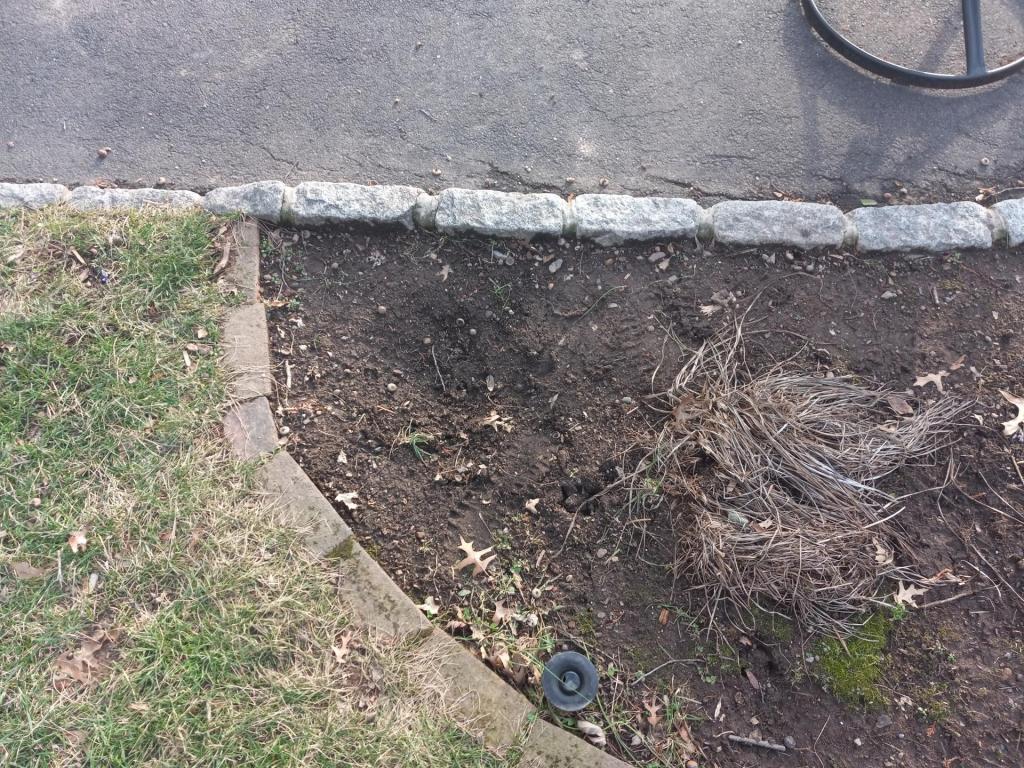 20220106_145550.jpg
