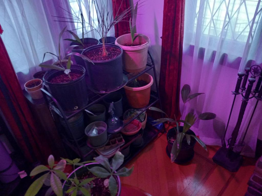 20220109_103651.jpg