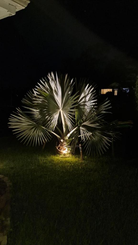 20220209_225612.jpg