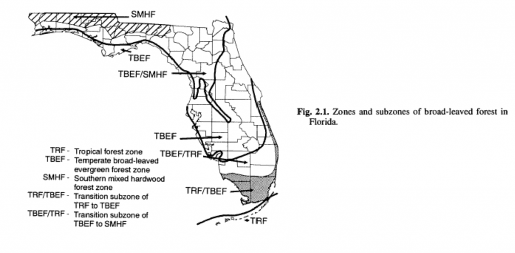 classifications.thumb.PNG.919bba3d64e957db20bb4d162368d507.PNG