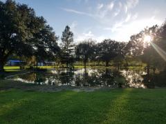 Southwest view of pond