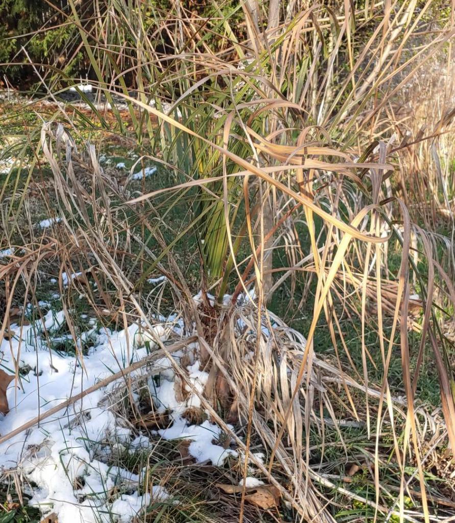 20220312_173342.jpg