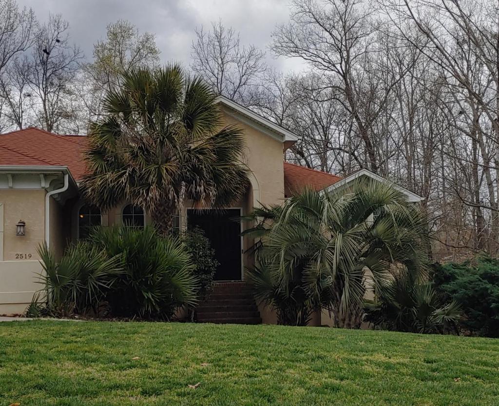 20220315_154356_HDR.thumb.jpg.30a84d329821b35cf76b468872a493de.jpg