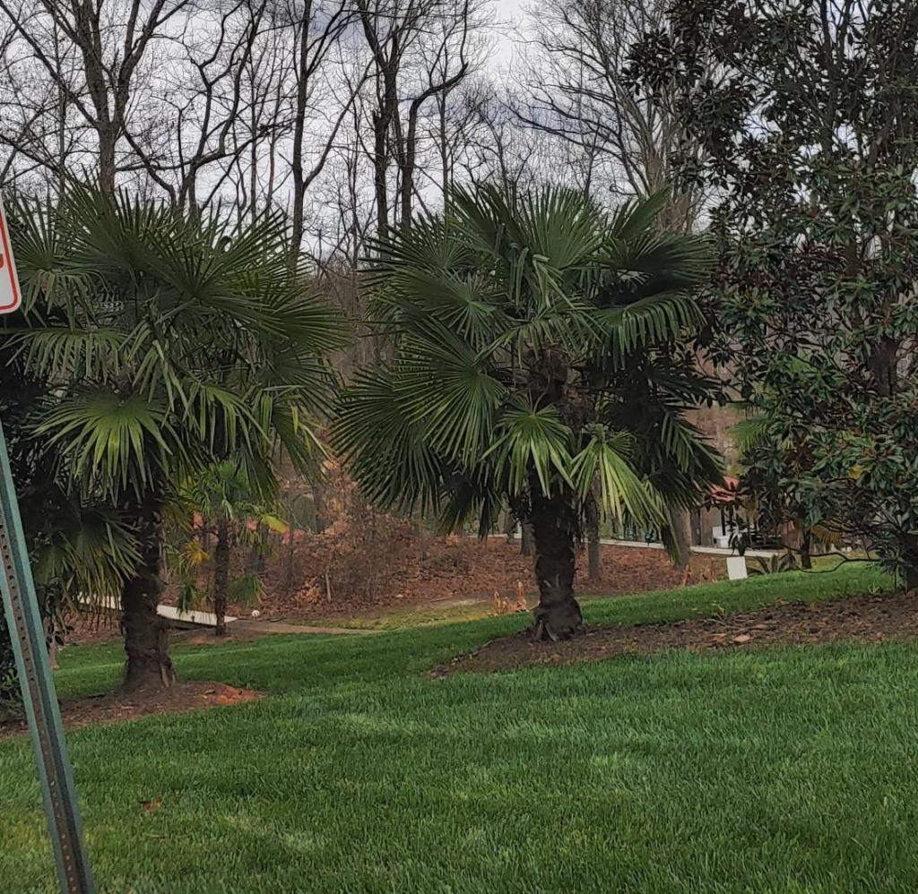 20220315_154704_HDR.thumb.jpg.34893f991fc32a7071bcb64f0c693dd7.jpg
