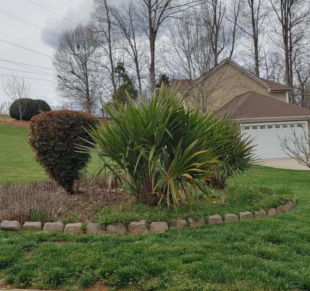 20220315_154834_HDR.thumb.jpg.afdf28f00d1800ce852621696f51e268.jpg