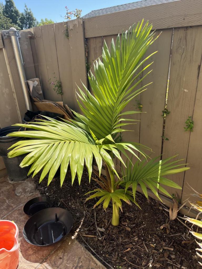 A2863126-6137-48AC-8E75-BD91353499F4.jpeg