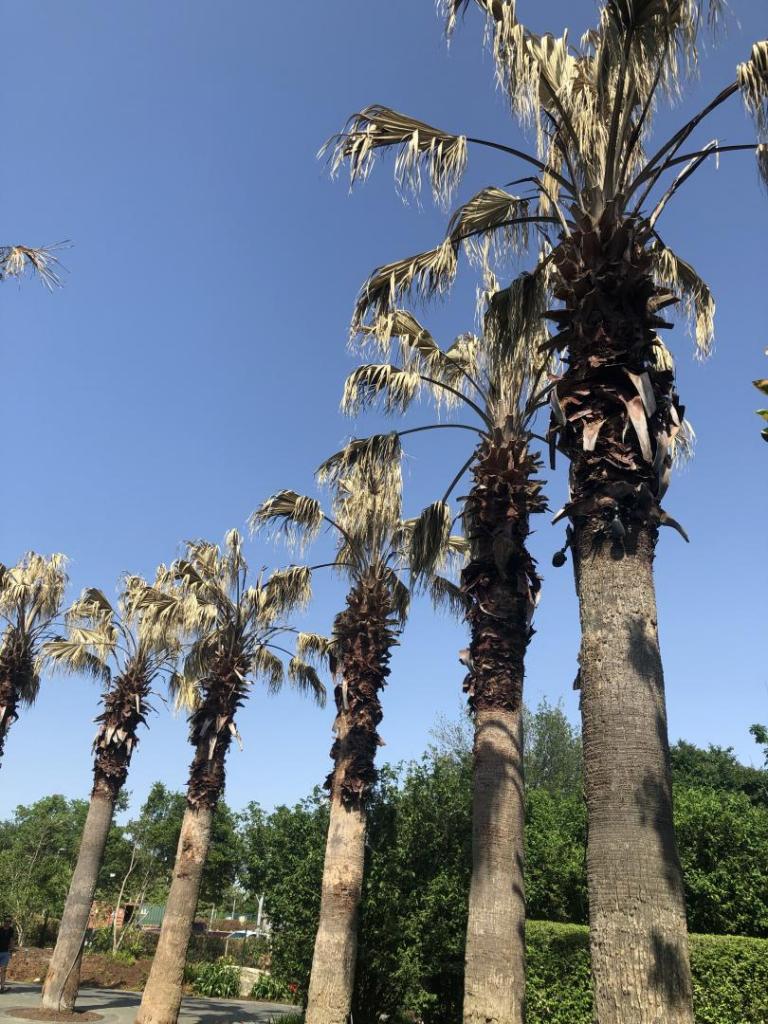 E32BBB19-345A-4277-84CE-C03451674769.jpeg