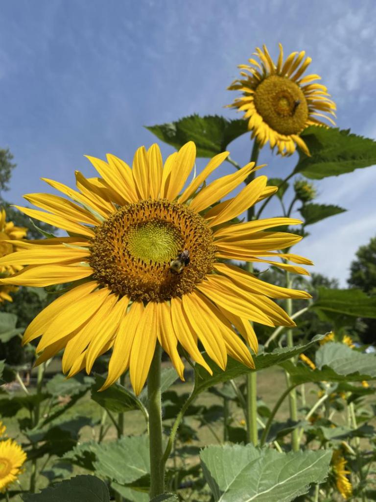 0A543059-0F0D-4758-B47C-A635C5BF5F73.thumb.jpeg.90ad2df29d6eab7341c94d46dc8ea743.jpeg