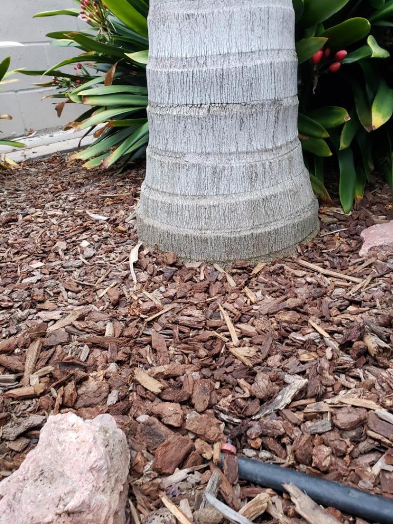20220614_060338.jpg