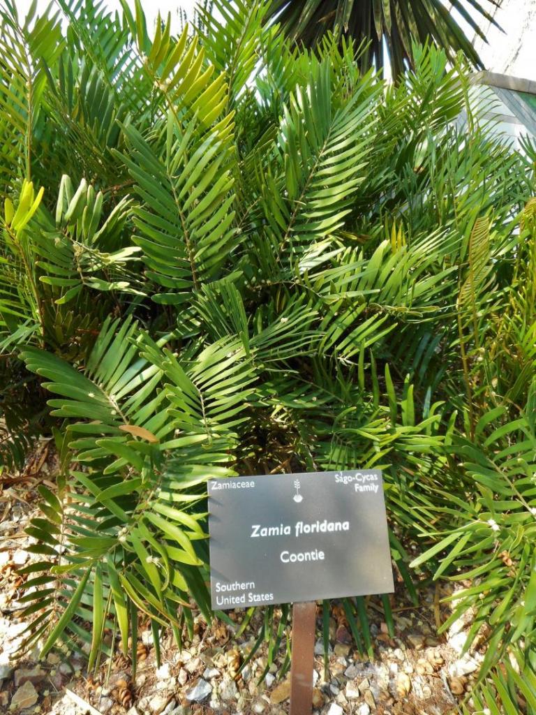 DSCN1690.thumb.JPG.a2a8d2e3f9f7efd818f3ec25d4c5b3ff.JPG