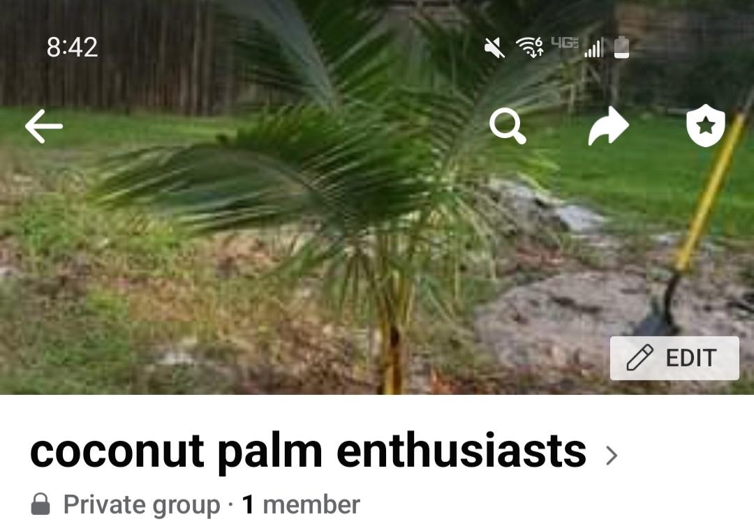 Coconut group specifically for Coconut palms