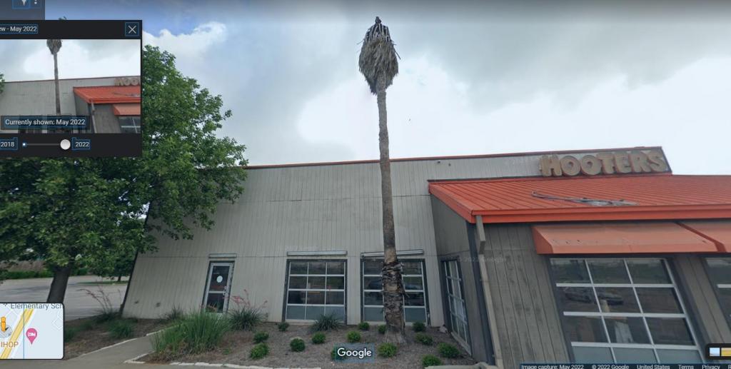 hooters washingtonia.jpg