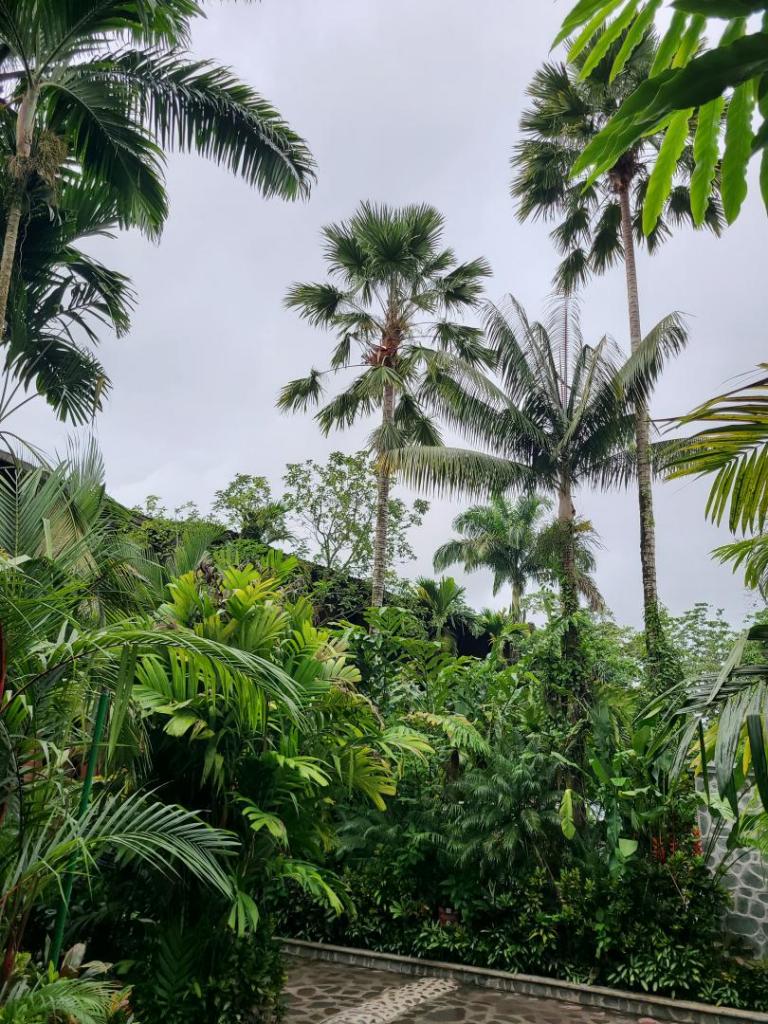 20220623_085057.jpg